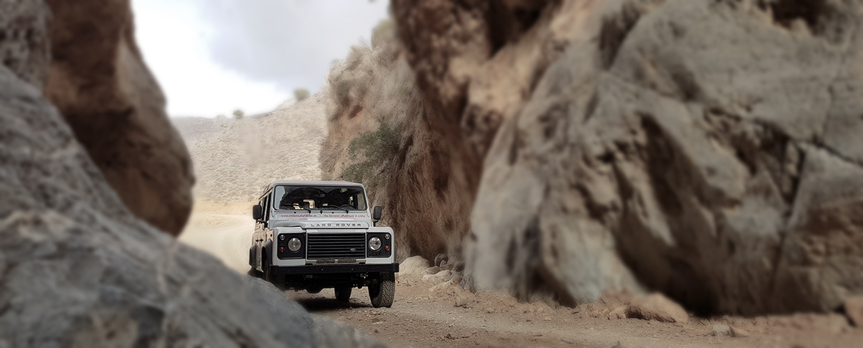 Jeep safari tours