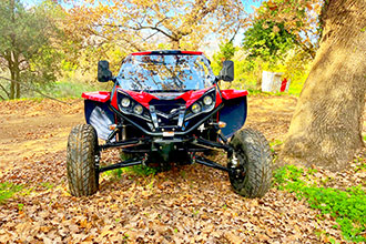 Buggy tour