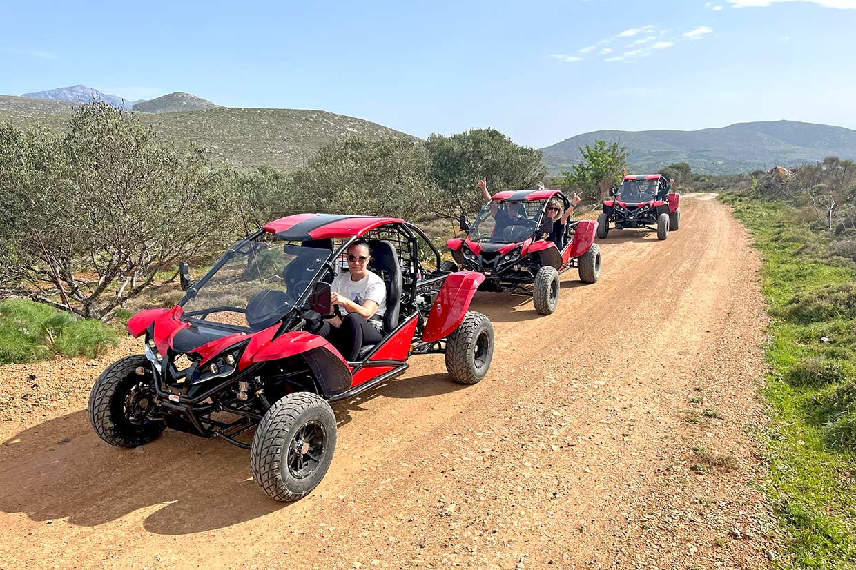 BUGGY SAFARI